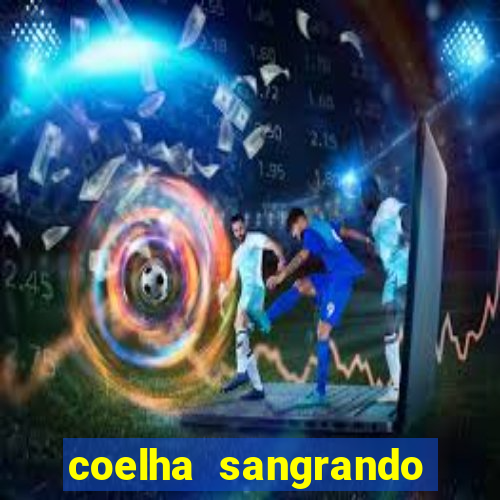 coelha sangrando pela parte intima